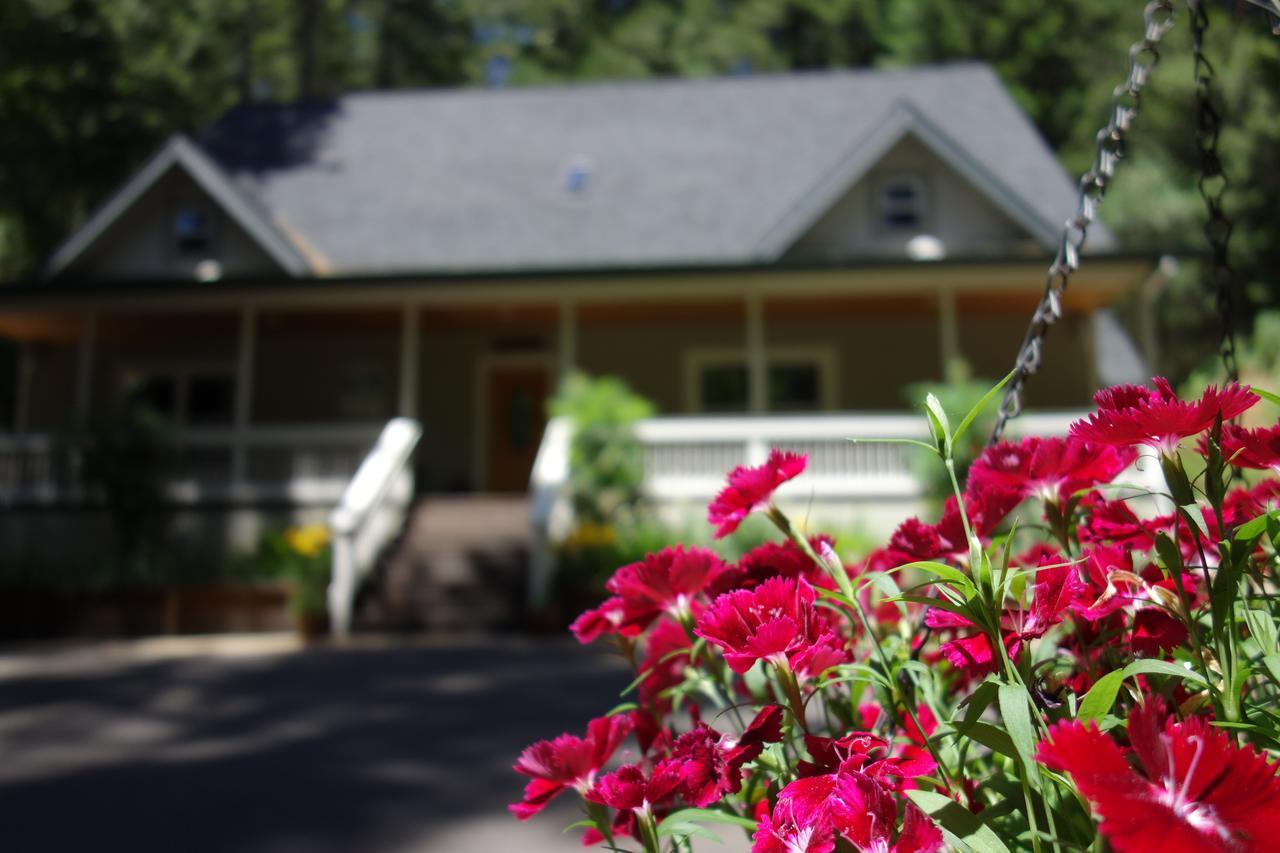 North Canyon Inn Bed & Breakfast Camino ภายนอก รูปภาพ